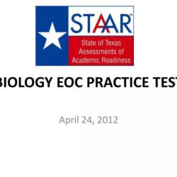 South carolina biology eoc practice test